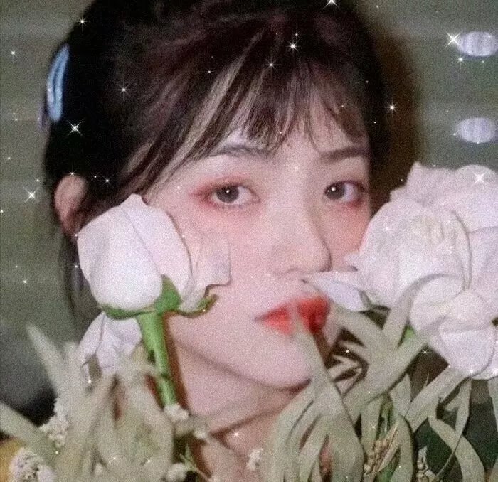 哭泣的马